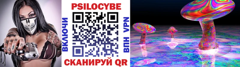 mega ссылка  Вельск  Псилоцибиновые грибы Psilocybine cubensis 